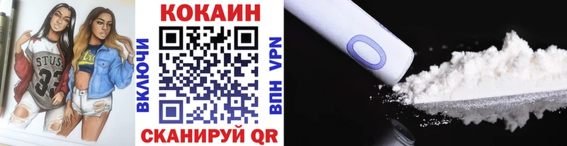 Купить закладки  Бородино  Cocaine FishScale 