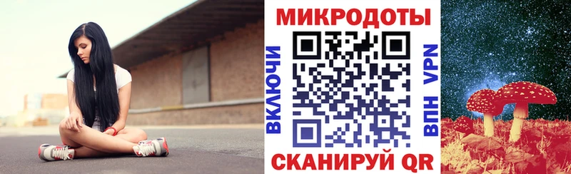 Купить  Бородино  Псилоцибиновые грибы Psilocybine cubensis 